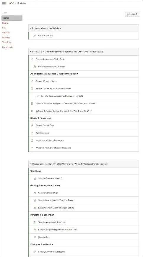 Carmen homepage, basic layout with modules containing syllabus, professor's intro, and resources
