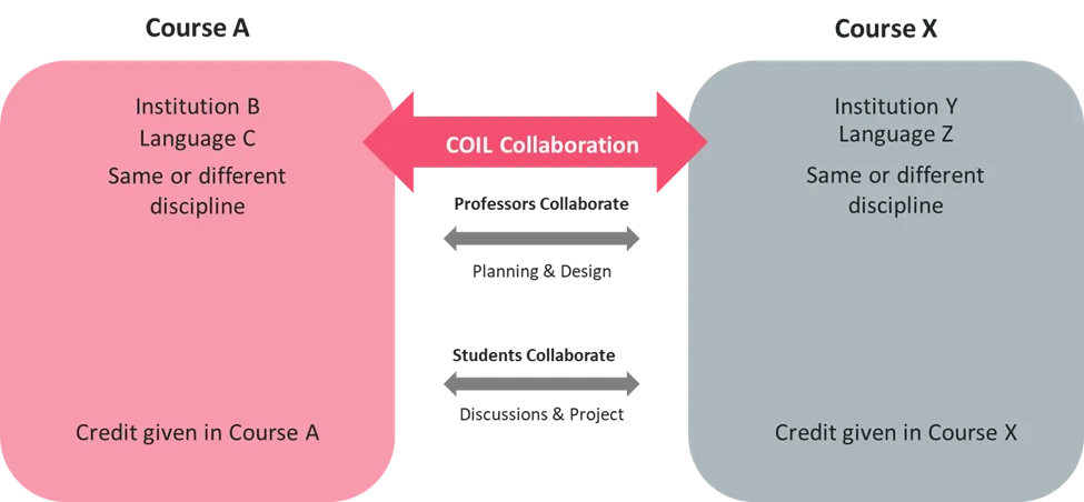 Modified diagram showing the concept of the COIL collaboration between two projects